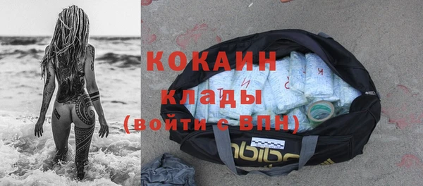 прущие грибы Нягань
