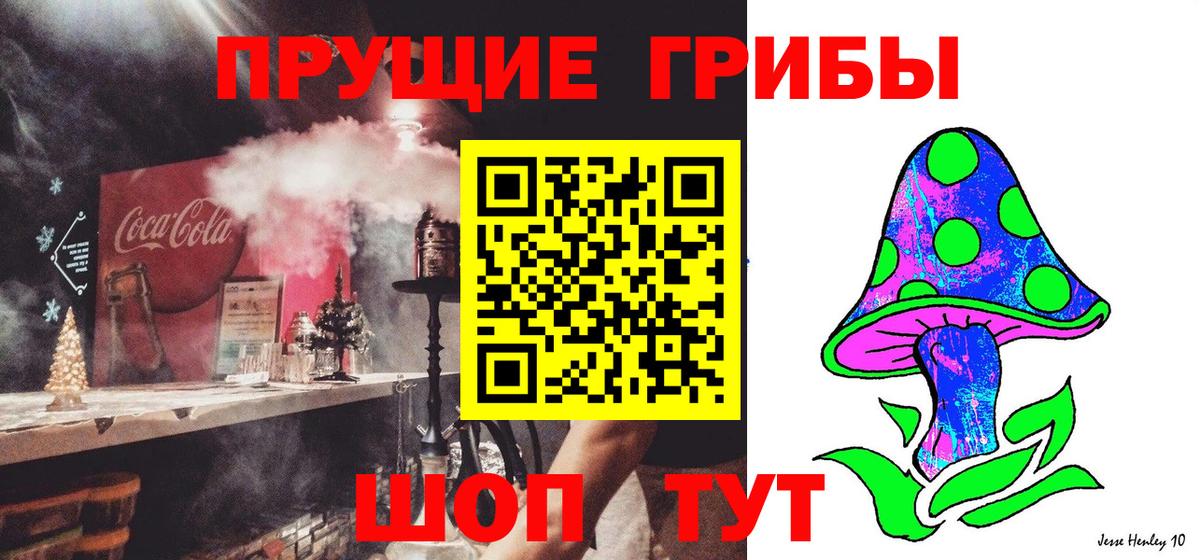 Галлюциногенные грибы Psilocybine cubensis Алушта