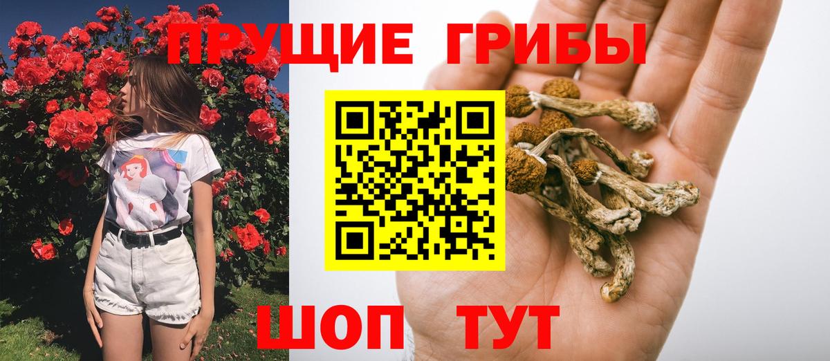 Псилоцибиновые грибы Cubensis  Вход с VPN  Алушта  Галлюциногенные грибы мицелий 