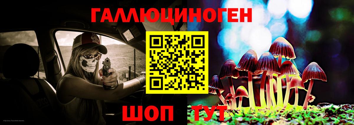 Псилоцибиновые грибы Magic Shrooms  Галлюциногенные грибы GOLDEN TEACHER  Алушта  Вход с VPN 