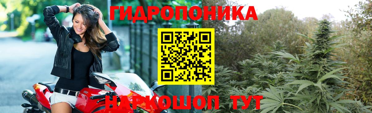 Марихуана планчик  Канабис LSD WEED  МАРИХУАНА план  Алушта  Вход с VPN  Конопля конопля 